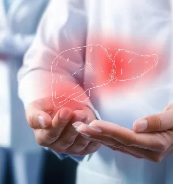 Liver health icon, hepatology services